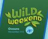 wild weekend logo