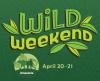 wild weekend Amazonia icon