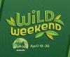 wild weekend Amazonia icon
