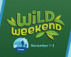 Wild Weekend November 1-2 Oceans