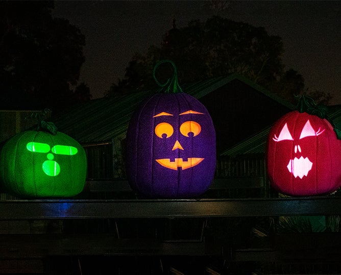 The Glow-Go’s