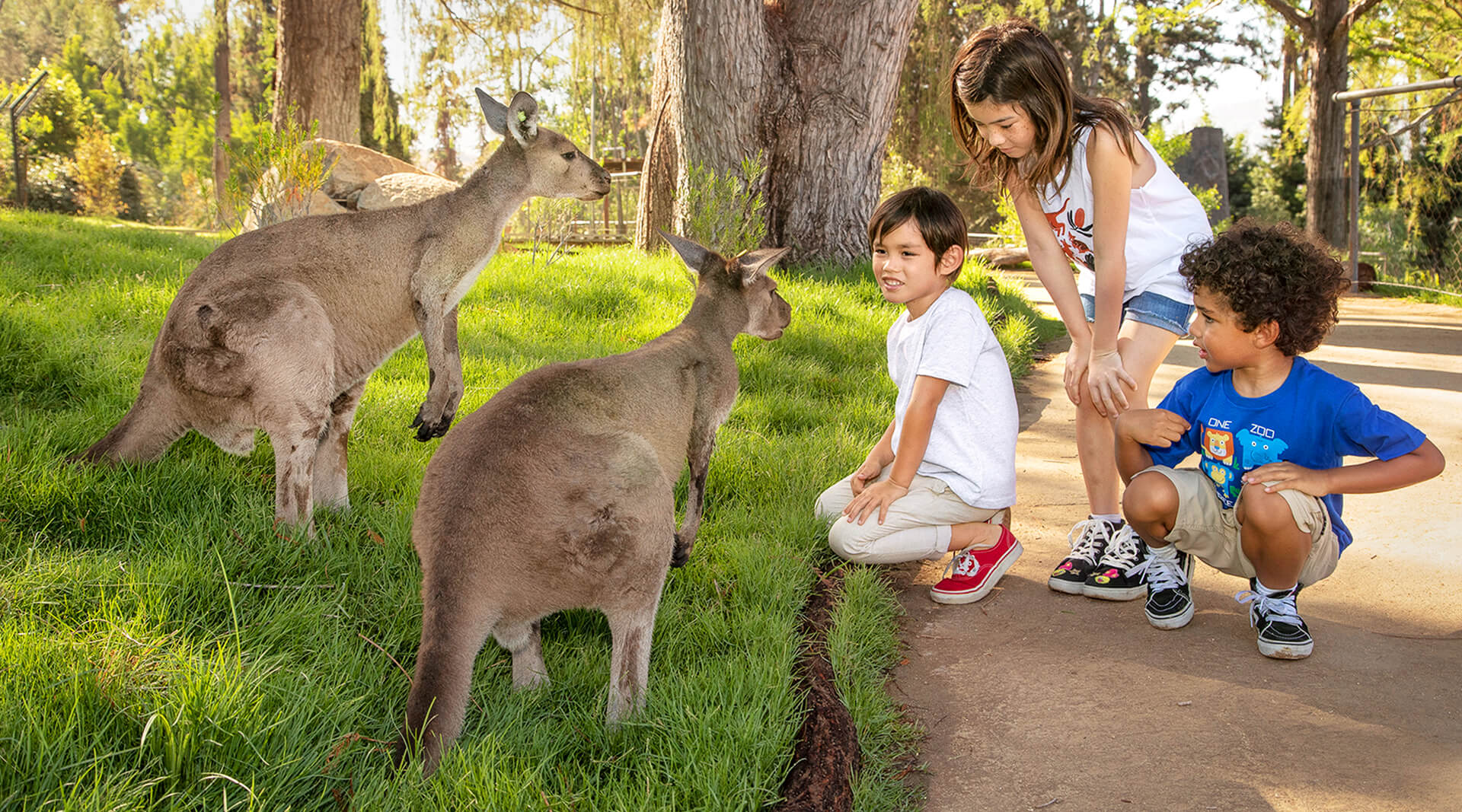 San Diego Zoo Exhibits