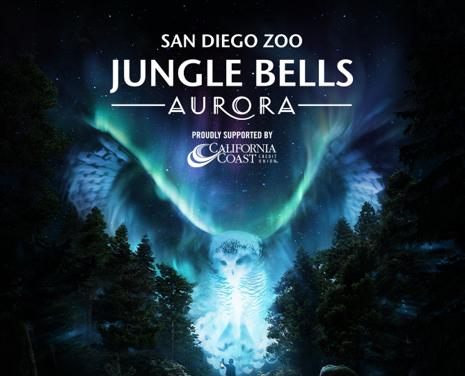 Jungle Bells San Diego Zoo