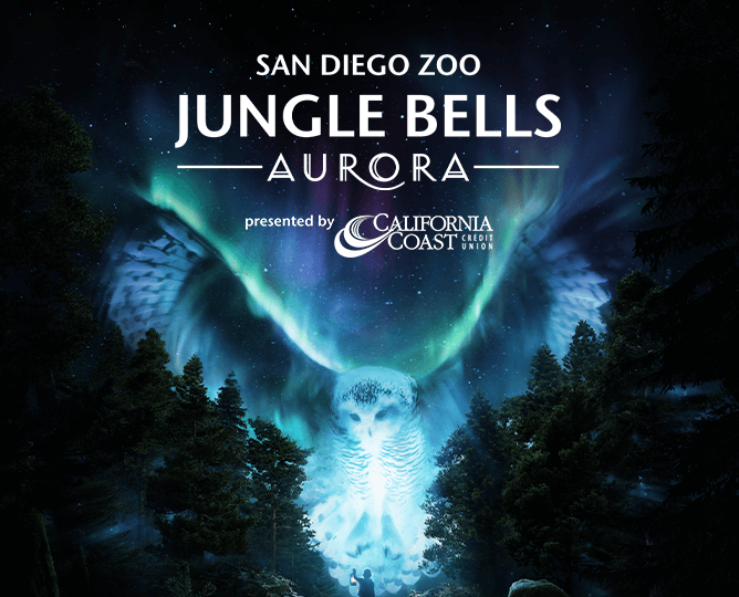 Jungle Bells San Diego Zoo
